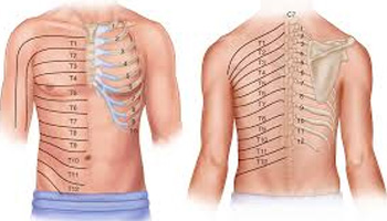 Intercostal Nerve Block